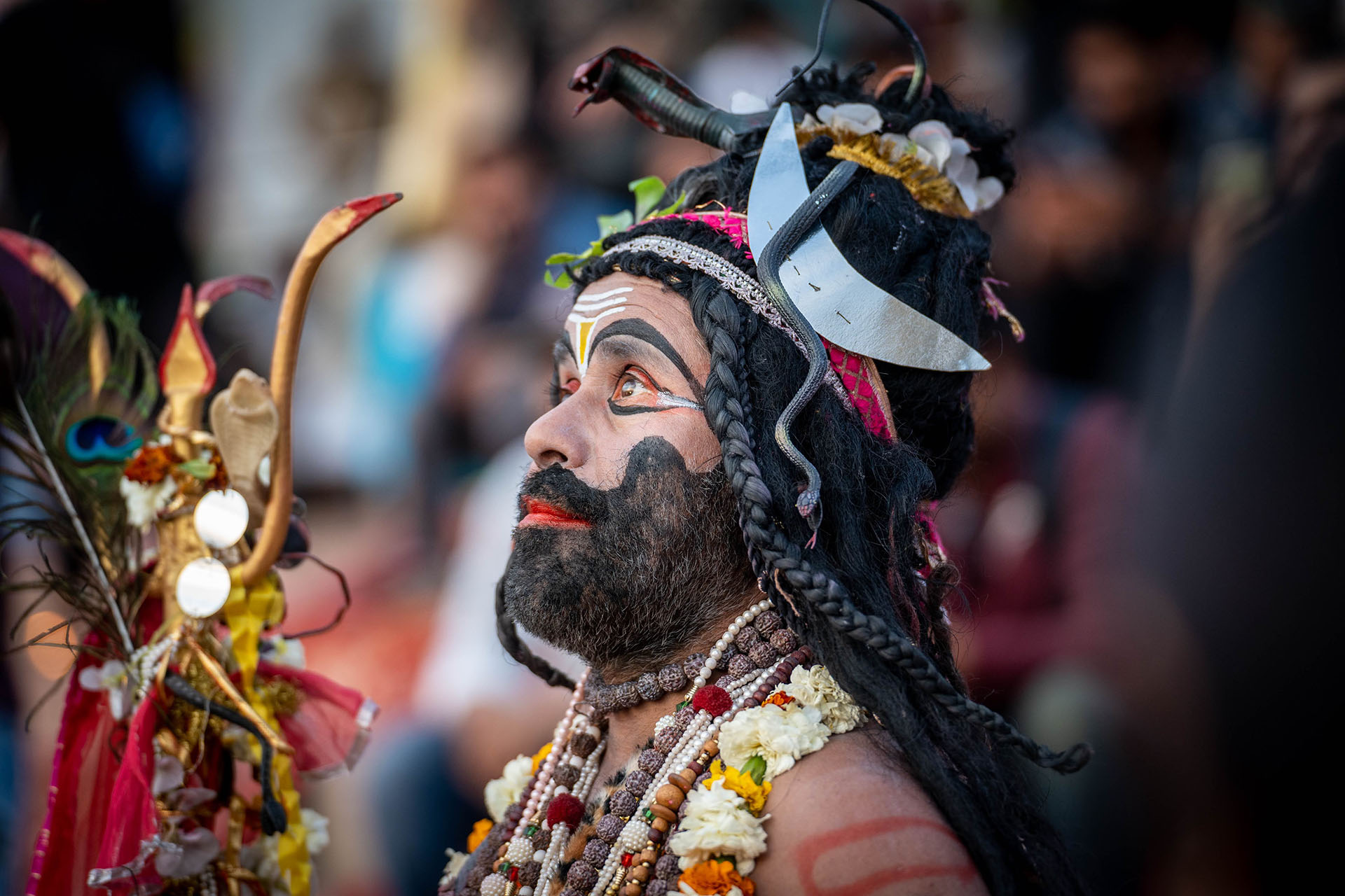 פסטיבל ההולי בהודו Holi Festival India